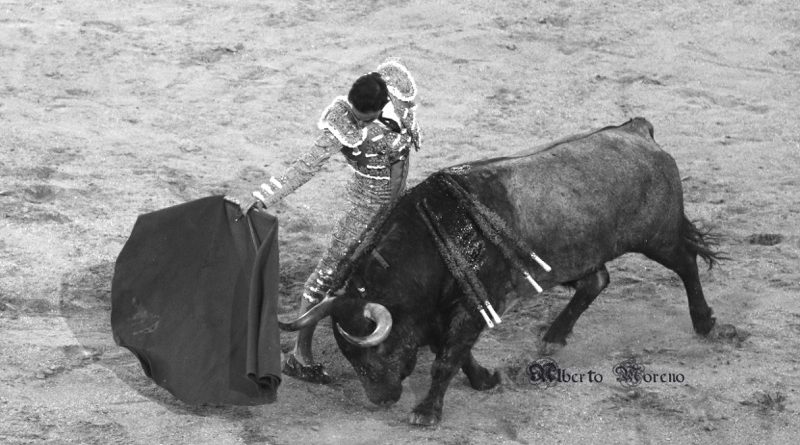 Sergio Serrano en Las Ventas