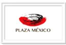 <b>En la Opinión de Pepe Mata… Sin festejos taurinos la Monumental México; es tiempo de luchar y no claudicar</b>