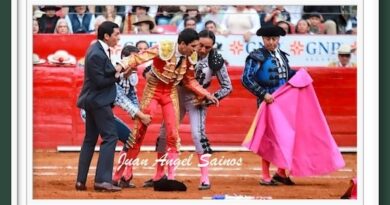 <b>En la Monumental México… ¡Cornadón a Héctor Gutiérrez!; <i>orejilla</i> para Talavante</b>