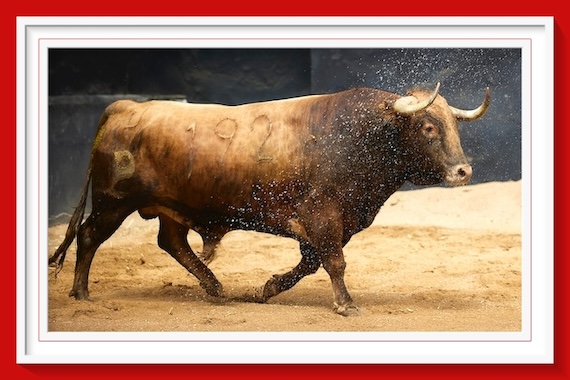 <b>Orden de lidia de los toros de Alcurrucén para Sevilla (Fotos y vídeo)</b>