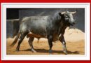 <b>Orden de lidia de los toros de La Quinta para Sevilla (Fotos y vídeo)</b>