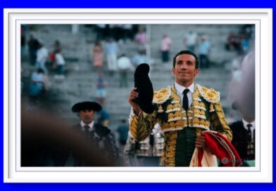<b>David de Miranda muy esperanzado con su visita a Las Ventas</b>