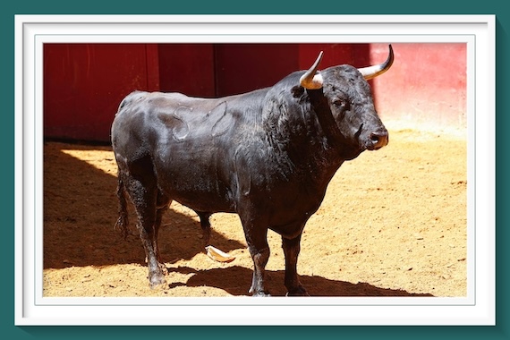 <b>Orden de lidia de los toros de Domingo Hernández y Garcigrande para Córdoba (Fotos)</b>