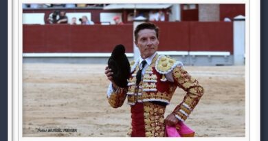 <b>En Las Ventas… Diego Urdiales vuelta al ruedo en la primera de la Feria de San Isidro</b>