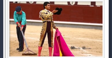 <b>En Las Ventas… Francisco de Manuel detalles ante un toro al que no mató bien</b>
