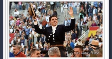 <b>En Las Ventas… Sólido triunfo de Guillermo Hermoso de Mendoza, salió por la Puerta Grande</b>