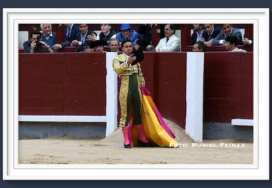 <b>En Las Ventas… Juan de Castilla ovacionado en su lote,  se acopló en ambos</b>