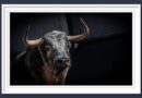 <b>Orden de lidia de los toros de El Montecillo para la goyesca de la Feria de la Comunidad en Las Ventas (Fotos y vídeo)</b>