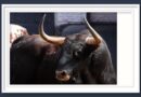 <b>Orden de lidia de los toros de El Torero para la 11ª de San Isidro de Las Ventas (Fotos y vídeo)</b>