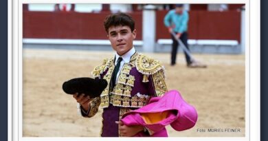 <b>Galería: Así vio Muriel Feiner… El 10º festejo de la Feria de San Isidro 2024 en Las Ventas</b>