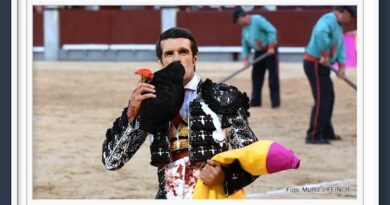 <b>Galería: Así vio Muriel Feiner… El 7º festejo de la Feria de San Isidro 2024 en Las Ventas</b>