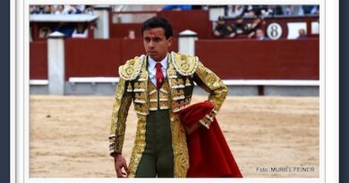 <b>Galería: Así vio Muriel Feiner… El 9º festejo de la Feria de San Isidro 2024 en Las Ventas</b>