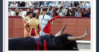 <b>Galería: Así vio Muriel Feiner… El 1º festejo de la Feria de San Isidro 2024 en Las Ventas</b>