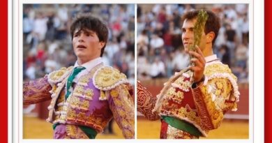 <b>En Sevilla… Sólo vueltas por labor meritoria de Tristán Barroso y Samuel Navalón</b>
