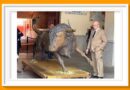 <b>Puente Jerez <i>inaugurando lo eterno</i>, su escultura el toro Carasucia</b>