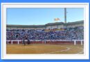 <b>Interesantes carteles para Manzanares</b>