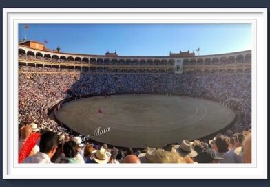 <b>El calendario de la Temporada 2026 en Las Ventas y la renovación de abonos</b>