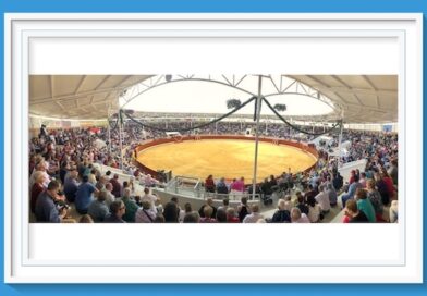 <b>Se presentará la IV corrida benéfica de Villaseca de la Sagra</b>