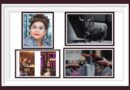 <b>En la Opinión de Pepe Mata… Clara y supuestos animalistas “defienden” al toro y señalan a galleros de “<i>ser del crimen organizado</i>“</b>