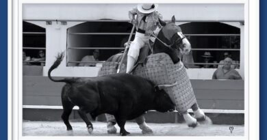<b>En Alès…  ¿Barcelo o La Golosina?</b>