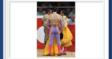 <b>La galería de Elsa Vielzeuf así vio… el concurso de ganaderías en Alès</b>