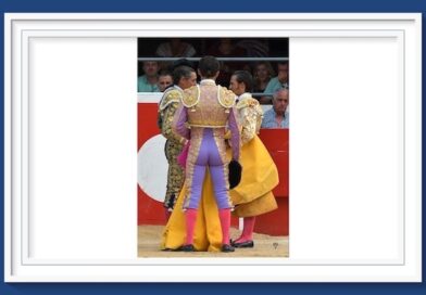 <b>La galería de Elsa Vielzeuf así vio… el concurso de ganaderías en Alès</b>
