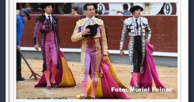<b>Galería Así vio Muriel Feiner… a Urdiales, Galván y Hernández en la 2ª de San Isidro 2025</b>