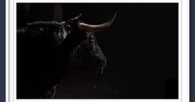 <b>Orden de lidia de los novillos de Alcurrucén para la 4ª de la Feria de San Isidro de Madrid (Música, Fotos y Vídeo)</b>