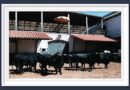 <b>Orden de lidia de los toros de Los Espartales para la 20ª de la Feria de San Isidro de Madrid (Música, Fotos y Vídeo)</b>