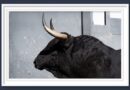 <b>Orden de lidia de los toros de El Torero para la 18ª de la Feria de San Isidro de Madrid (Música, Fotos y Vídeo)</b>