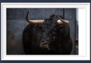 <b>Orden de lidia de los toros de José Enrique Fraile de Valdefresno para la 6ª de la Feria de San Isidro de Madrid (Música, Fotos y Vídeo)</b>