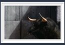 <b>Orden de lidia de los toros de Victoriano del Río y Toros de Cortés para la 1ª de la Feria de San Isidro de Madrid (Música, Fotos y Vídeo)</b>