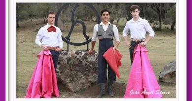 <b>El reportaje del Maestro Sainos… Una tienta aleccionadora en Rancho Seco</b>