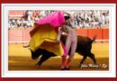 <b>En Sevilla… Toros que pedían besos y abrazos</b>