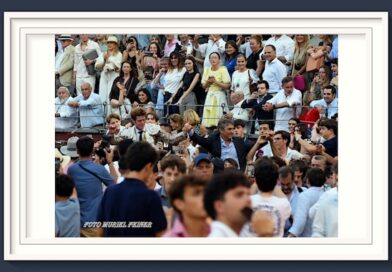 <b>En Madrid… Genial faena de verdad y entrega de Borja Jiménez a un excepcional toro de Victorino Martín</b>