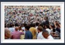 <b>Galería así vio Muriel Feiner… el incontestable triunfo de Borja Jiménez y Victorino Martín en la Corrida In Memoriam</b>