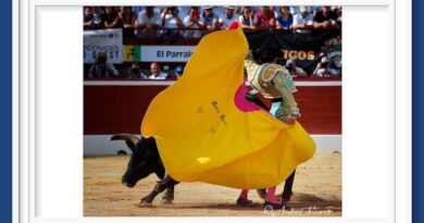 <b>Galería. Así vio la inspiración de André Viard… A Roca Rey, Juan Ortega y Clemente en Mont-de-Marsan</b>