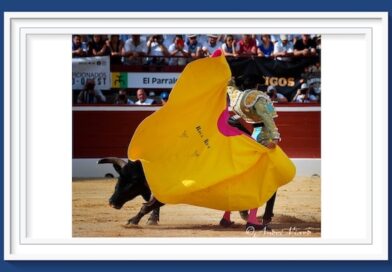 <b>Galería. Así vio la inspiración de André Viard… A Roca Rey, Juan Ortega y Clemente en Mont-de-Marsan</b>