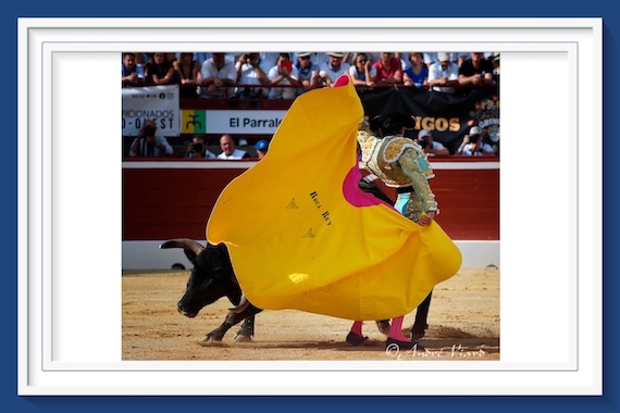 <b>Galería. Así vio la inspiración de André Viard… A Roca Rey, Juan Ortega y Clemente en Mont-de-Marsan</b>