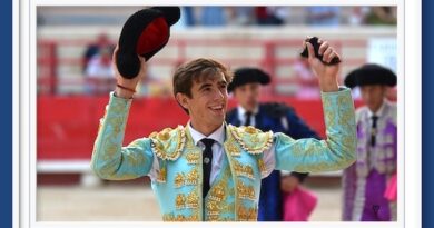<b>La galería de Elsa Vielzeuf así vio… la novillada de Beaucaire en donde Pepe Luis Cirugeda cortó una oreja</b>