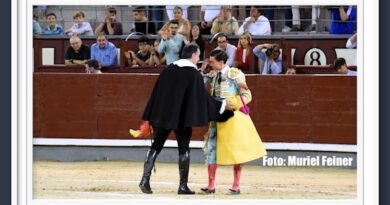 <b>Galería así vio Muriel Feiner… al triunfador Bruno Aloi y sus compañeros en la Gran Final de Cénate a Las Ventas</b>