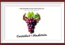 <b>Habrá Corridas de la Vendimia en Aguascalientes</b>