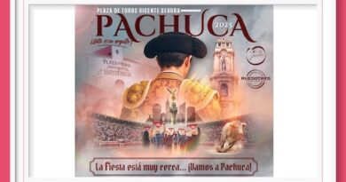 <b>Estos son los carteles de la Feria de Pachuca 2025</b>