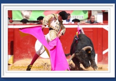 <b>La galería de Roland Costedoat así vio la… novillada matutina de Mont-de-Marsan</b>