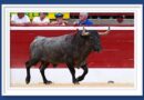 <b>La galería de Roland Costedoat así vio la… interesante corrida de los victorinos de Mont-de-Marsan</b>