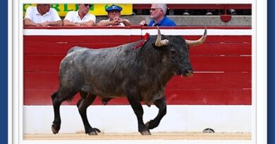 <b>La galería de Roland Costedoat así vio la… interesante corrida de los victorinos de Mont-de-Marsan</b>