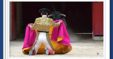 <b>La galería de Elsa Vielzeuf así vio… la novillada de Beaucaire en donde participaron João d’Alva, Víctor Barroso y Gonçalo Alves</b>