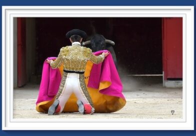 <b>La galería de Elsa Vielzeuf así vio… la novillada de Beaucaire en donde participaron João d’Alva, Víctor Barroso y Gonçalo Alves</b>