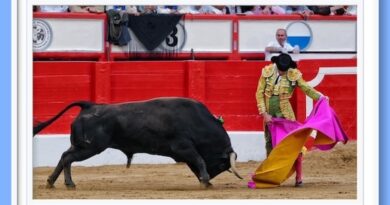 <b>En Santander… Juan Ortega hizo lo más interesante ante la mansada</b>