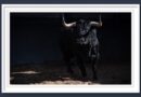<b>Orden de lidia de los toros de Juan Luis Fraile para Las Ventas (Música, Fotos y Vídeo)</b>